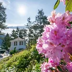 Szálloda Dragsvik Fjordhotel (adults Only)
