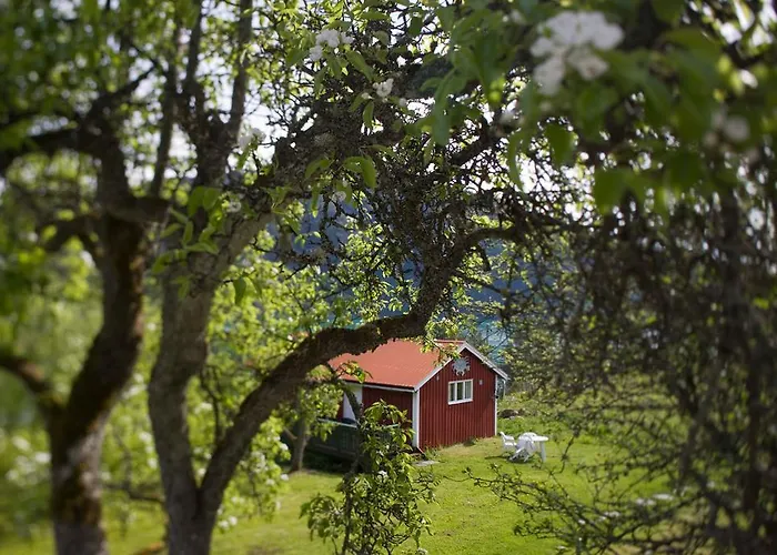 Hotel Dragsvik Fjordhotel (adults Only)