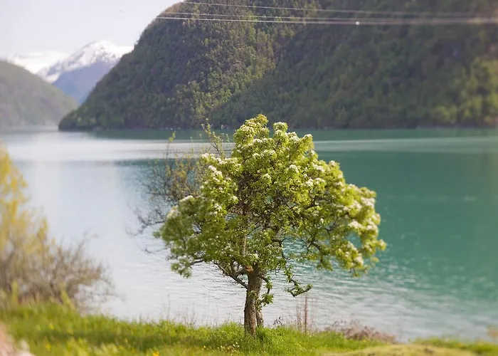 Dragsvik Fjordhotel (adults Only)