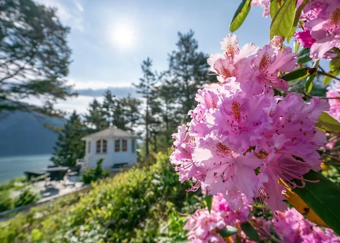 Hotel Dragsvik Fjordhotel (adults Only)