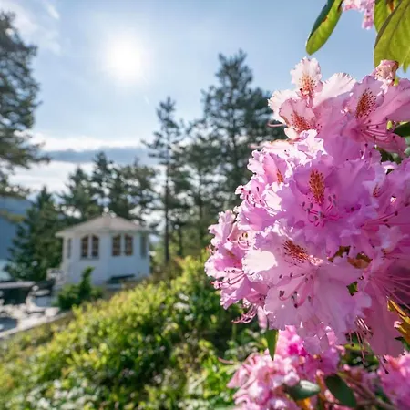 Szálloda Dragsvik Fjordhotel (adults Only)